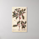 Suche nach beeren leinwandbilder Pflanze