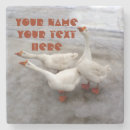 Suche nach schnabel untersetzer Vögel