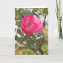 Suche nach spezieller freund karten Rosa