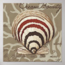 Suche nach seaside poster Muschel im meer
