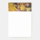 Suche nach ahorn post it Rückgang