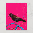 Suche nach rosa rabe postkarten Für alle