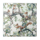 Suche nach nagetiere fliesen Eichhörnchen