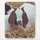 Suche nach niedliche ziege mousepads Nutztiere