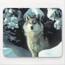 Suche nach wolf im schnee mousepads Wild lebende tiere