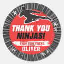 Suche nach ninja geburtstag aufkleber Kampfkunst