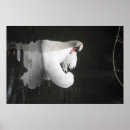 Suche nach schwimmbad poster Liebe