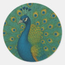 Suche nach peacock aufkleber Aquamarin
