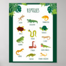 Suche nach reptil poster Für kinder