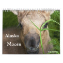 Suche nach elche kalender Wild lebende tiere