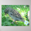 Suche nach vogelplakat poster Spaß