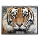 Suche nach im gesicht kalender Tiere