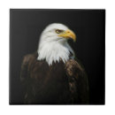 Suche nach eagle fliesen Usa