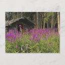 Suche nach abwesenheit postkarten Kein volk