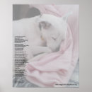 Suche nach gemeinnützig poster Tiere
