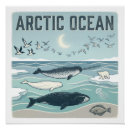 Suche nach arktisch poster Jede person