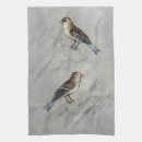 Suche nach stange und spule Vogel