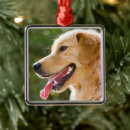 Suche nach zunge ornamente Hund