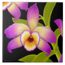 Suche nach tropische orchideen fliesen Für alle