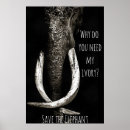 Suche nach weißer elefant poster Wildtiere