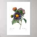 Suche nach aster poster Vintag