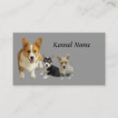 Suche nach corgi visitenkarten Welpe
