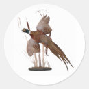 Suche nach fasane aufkleber Vogel