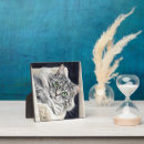 Suche nach augen fotoplatten Katze