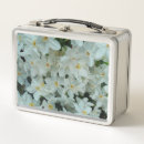 Suche nach glühbirnen lebensmittel aufbewahrung Jede person