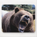 Suche nach teddybären mousepads Tier