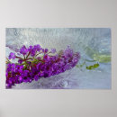 Suche nach bush poster Natur