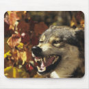 Suche nach wilder wolf mousepads Wütend