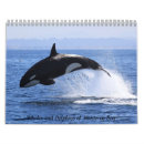 Suche nach delphin kalender Wale