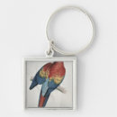 Suche nach macaw schlüsselanhänger Blau