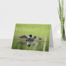 Suche nach loon karten Tierwelt