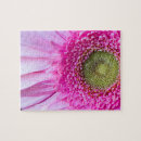 Suche nach gerbera puzzle Natur