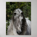 Suche nach headshot poster Grau