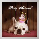 Suche nach bulldogge poster Tiere