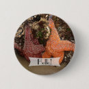 Suche nach seestern buttons Jede person