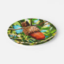 Suche nach eichel teller Jede person