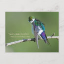 Suche nach schwalben postkarten Violett