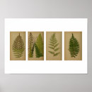 Suche nach vintager schrift poster Botanisch