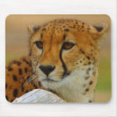 Suche nach gepard mousepads Wild