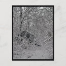 Suche nach kabine postkarten Wald