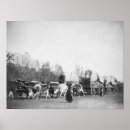 Suche nach ochsen poster Fotografie