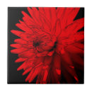 Suche nach dahlie blume fliesen Rot