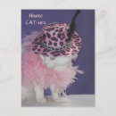 Suche nach häute postkarten Katze