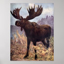 Suche nach elch poster Berge