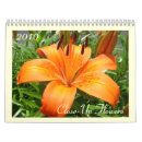 Suche nach nahaufnahme kalender Blume