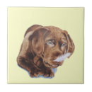 Suche nach labrador welpen fliesen Jede person